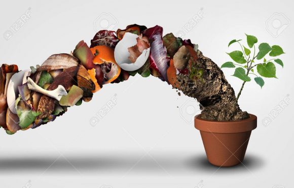 Compost and composting symbol life cycle symbol and an organic recycling stage system concept as a pile of rotting food scraps with soil resulting in a ecological success with a sapling growing in a pot with 3D illustration elements..