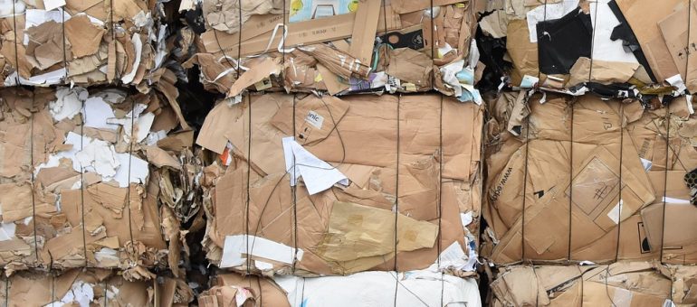 Cardboards Cardboards