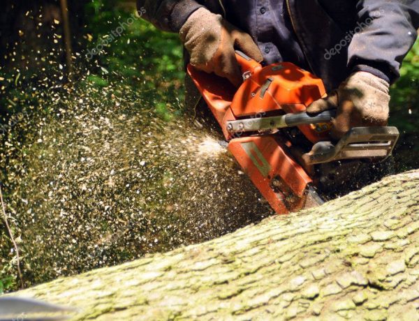 depositphotos_12433764-stock-photo-chainsaw-cutting-wood